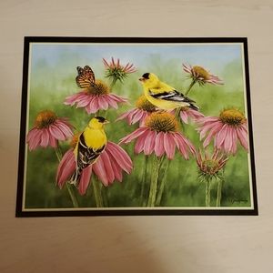 Goldfinch and Purple Echinacea Print